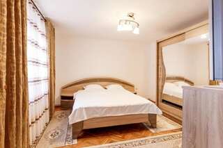 Гостевой дом Vila FAN Confort Вишеу-де-Сус Двухместный номер с 1 кроватью и собственной ванной комнатой-5