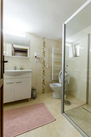 Гостевой дом Vila FAN Confort Вишеу-де-Сус Двухместный номер с 1 кроватью и собственной ванной комнатой-6