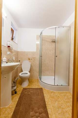Гостевой дом Vila FAN Confort Вишеу-де-Сус Двухместный номер с 1 кроватью и собственной ванной комнатой-9